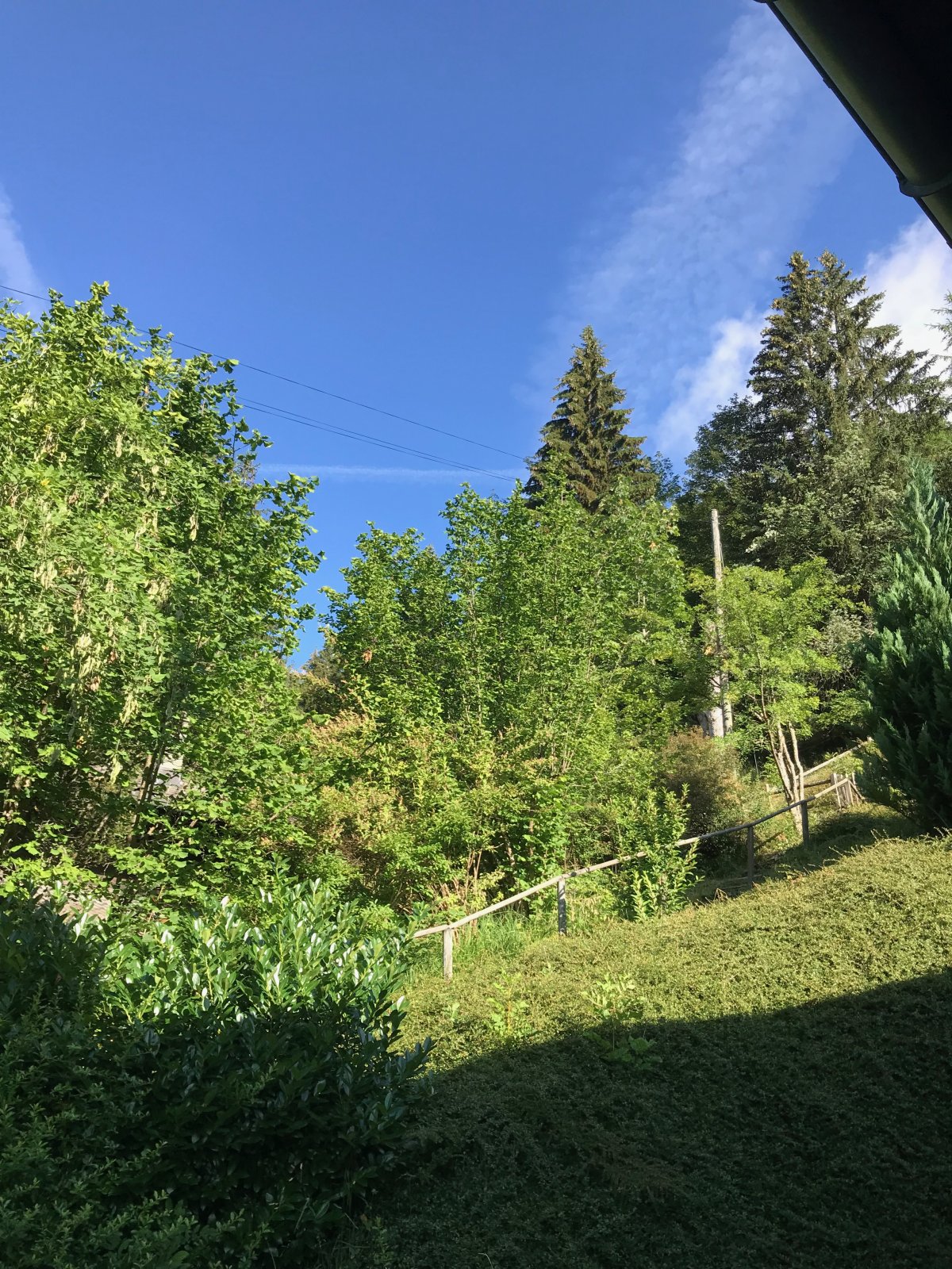 Grand soleil ce matin sur Torgon en Valais.